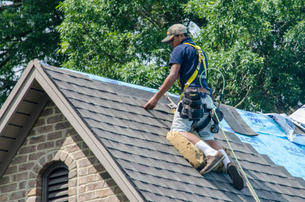 Quick and Trustworthy Emergency Roof Repair Services in Mundelein, IL